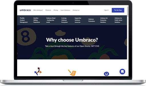 Get Umbraco support from dotBuch.net today