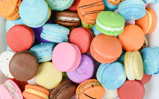 dotBuch Cookie policy